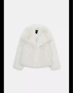 Item thumbnail for item 15b845ab-8d3c-4d29-a47c-1f9b3c2c6e8a