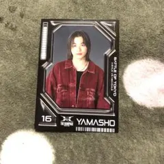 山本彰吾 BOT フォトカード