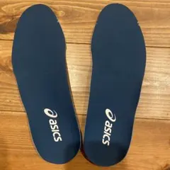asics スパイク　DS light 24.5cm インソールのサムネイル
