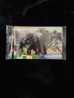 サラブレッドホースコレクション リアルインパクト 金箔サイン入り