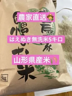 令和7年産 はえぬき白米5キロ 無洗米精米のサムネイル