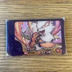 ポケモンフレンダ ウィンディ スーパートレジャー