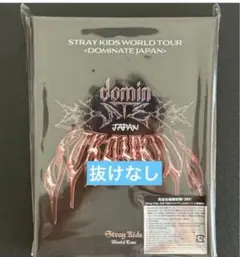 신품 미개봉 StrayKids dominATE JAPAN 完全生産限定盤