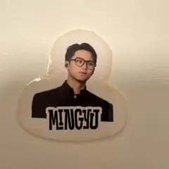 SEVENTEEN holiday Amazon 特典ステッカー　ミンギュ