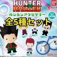 HUNTER×HUNTER めじるしアクセサリー 【5種コンプ】ハンターハンター