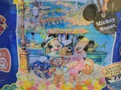 スプリングボヤッジ　スプリングヴォヤッジ　ダッフィー　ショッピングバッグ