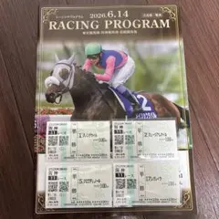 JRA レーシングプログラム 2026年6月14日　宝塚記念　阪神競馬場　馬券