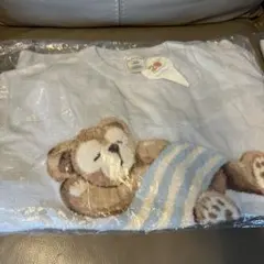 ディズニー ダッフィー＆フレンズ ジェラートピケ ルームウェアセット ブルー