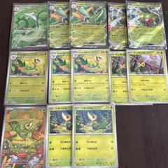 ジャローダ ex SR RR 進化ライン　メガヤンマex ツタージャAR