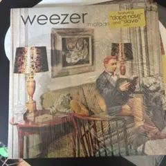【LP】weezer - maladroit アナログレコードUSオリジナル盤 Weezer – Maladroit | Releases | Discogs