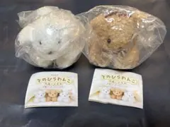 てのひらわんこ