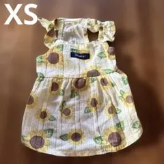 Item thumbnail for item a89ef0cb-bf38-4f0f-b02f-d02257ee165b