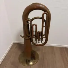 2026年最新】NIKKAN マウスピースの人気アイテム - メルカリ