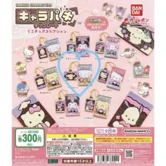 サンリオキャラクターズ キャラパキ ミニチュアコレクション