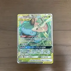 フシギバナ＆ツタージャGX RR