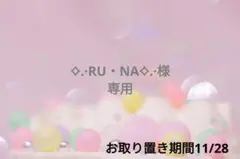 ⟡.·RU・NA⟡.·様❁⃘*.゜専用ページ『5202』ハンドメイドピアス