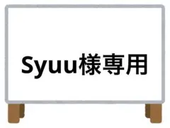 Syuu様 リクエスト 2点 まとめ商品