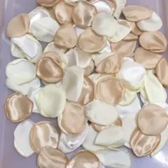 Item thumbnail for item 90fef7bf-5de8-4a17-a966-01fd3f5abf55