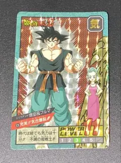ドラゴンボール カードダス スーパーバトル 悟空&ブルマ