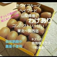 ❇️gキウイフルーツ　　わけあり　小玉　箱いっぱい　コンパクト　山梨県産