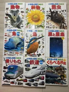 小学館の図鑑NEO 9冊セット