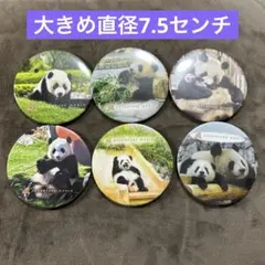 アドベンチャーワールド　パンダ　缶バッジ6個セットのサムネイル