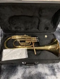 Item thumbnail for item 797d3e60-6954-4997-bc6f-b6c877f6bf7f