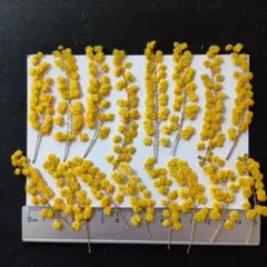 まりる様 リクエスト 2点 まとめ商品