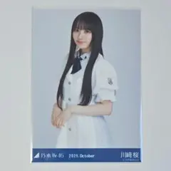 Item thumbnail for item 3b030718-4865-42e9-a9b7-6a63df3f2757