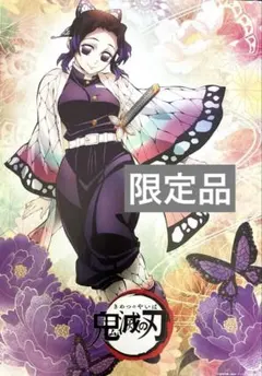 鬼滅の刃 「繋ぐ」描き下ろしイラスト ビッグポスター しのぶとカナエ