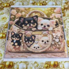 ②未使用　可愛いワンちゃんパネル生地＆白薔薇柄生地です。