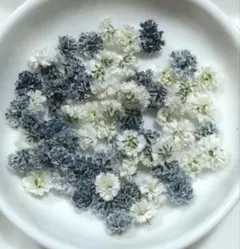 No,312☘️かすみ草のドライフラワー