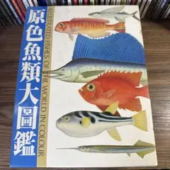 原色魚類大図鑑 北隆館 魚図鑑 定価48000円 - メルカリ