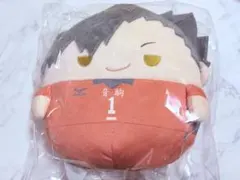 ハイキュー くじメイト C賞 ふわコロりん 黒尾鉄朗