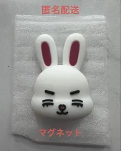 MINITEEN ポップアップ ポーチ エスクプス スンチョル MINITEEN ポップアップ ポーチ エスクプス スンチョル SEVENTEEN