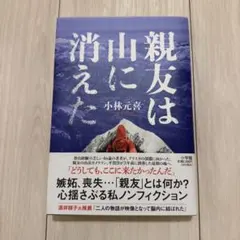 【美品】親友は山に消えた　小説　本　ドキュメンタリー