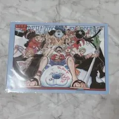 ONEPIECE ジャンフェス クリアファイル