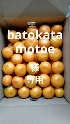 あすみ10kg(露地、家庭用)batokatamotoe様専用