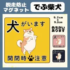 【でぶ柴犬】マグネット　飛び出し注意　犬がいます　玄関　注意　脱走防止　屋外