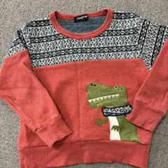 klädkåp 恐竜刺繍トレーナー 110サイズ