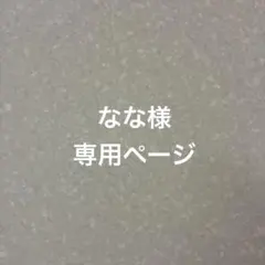 ♡なな様専用ページ♡モノクロのおうちのシェイカーキーホルダー♡