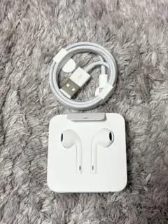 iPhone7 EarPods + USBケーブル ステッカー類　純正