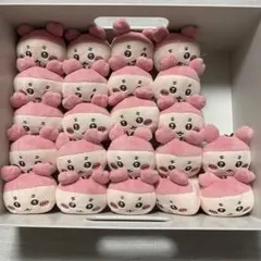 ちいかわ カニちゃん 古本屋 ガチャ