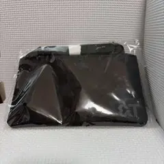 &TEAM 非売品 オフィシャルファンクラブ 入会特典 サコッシュ