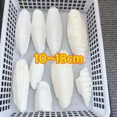 ちこりーた様 リクエスト 3点 まとめ商品