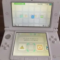 ニンテンドー3DS LL 動物の森デザイン