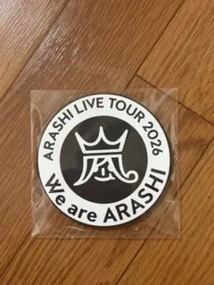 嵐 ラバーコースター 2026