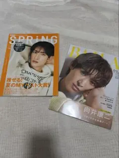 向井康二 表紙 2冊セット SPRiNG BAILA ☆カバー袋付き