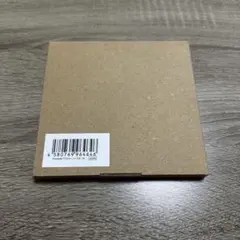 にじさんじ 叶 ChroNoiR パブミラーコースター