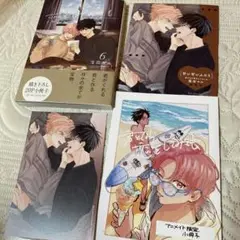 君となら恋をしてみても6 アニメイトセット